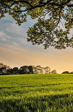 Famille et patrimoine